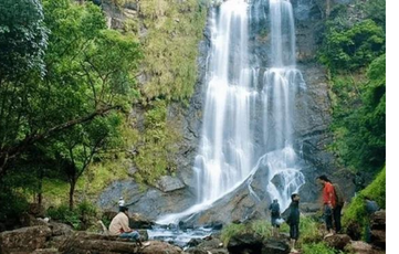 Abbi Falls